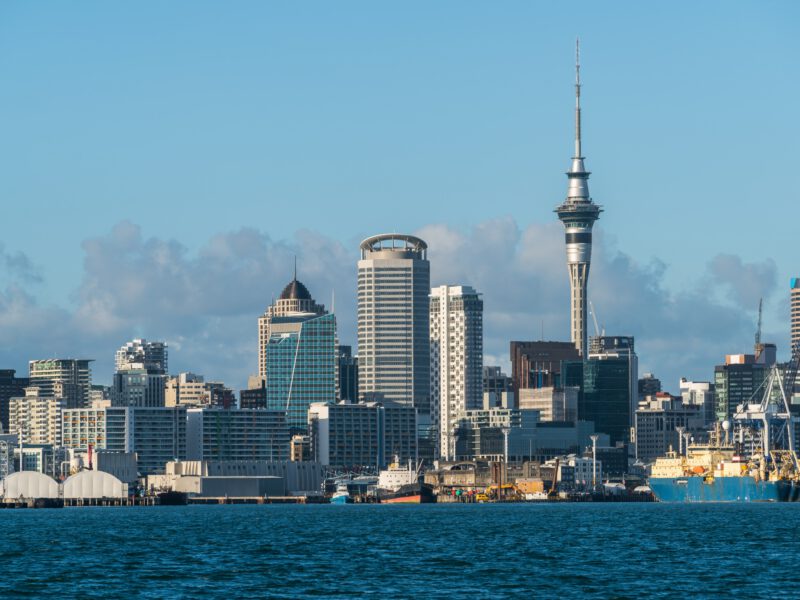 Evolve or Erode: The New Reality for New Zealand Boards